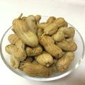 クックBVXN9Z☆'s cooksnap of when they made おいしい生落花生の茹で方.