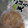 ひっこ's cooksnap of when they made さつま揚げの冷凍保存.