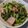 ウッピィ's cooksnap of when they made 大根の葉とベーコン☆ごま油炒め☆大量消費.