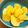 yujif's cooksnap of when they made めっけもん♪柿を等分に切る方法★.