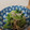 かりあん's cooksnap of when they made 小松菜とえのきのナムル.