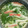 シビリキン's cooksnap of when they made うちの茶碗蒸し.