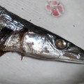 ヨシヨッシー's cooksnap of when they made 秋刀魚の塩焼き (片面焼きグリル).