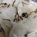 ｋａｒｉｎｒｉｎ's cooksnap of when they made 大根の塩昆布にんにく和え.
