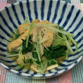 くみひよはる's cooksnap of when they made 水菜とえのきのシャキシャキ煮びたし.