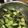 め目め's cooksnap of when they made 2分で簡単無限きゅうり.