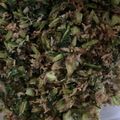 kinkinsan's cooksnap of when they made ごはん激ウマ！かぶ菜ふりかけ★.