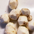 さちぶた♪'s cooksnap of when they made 里芋の皮むき.
