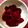 initium's cooksnap of when they made ビーツのぬか漬け.