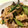 あおむし26's cooksnap of when they made きくらげと豚肉の卵炒め.