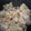 しゅんこみやま's cooksnap of when they made 丸ごと！　簡単　さつまいもごはん.