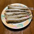 こめっこ♡'s cooksnap of when they made メギスの塩煮.