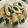miyu✩‧₊˚'s cooksnap of when they made ♪ほうれん草ｉｎちくわの豚バラ巻き♪.