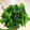 Emihann's cooksnap of when they made 冬の旬菜を使ったきくなのナムルのレシピ★.