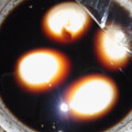 ねば子's cooksnap of when they made 簡単煮卵♪♪.