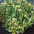 マキマキ913's cooksnap of when they made 大根の葉でふりかけ.