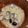 105♡'s cooksnap of when they made 冷凍シジミのお味噌汁！.
