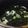 stakezo's cooksnap of when they made 超簡単♪わかめのお吸い物.