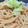 りり苺。's cooksnap of when they made 【簡単】たらこパスタ.