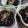 ひっこ's cooksnap of when they made 簡単！金時草入りもずく酢.