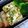 しゅんぺいのママ's cooksnap of when they made ごま塩オムレツ.