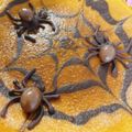 たくぽんす's cooksnap of when they made ハロウィンにも♪チョコで蜘蛛.