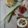 melmarilyn's cooksnap of when they made いくらでも食べちゃう♪インゲンの天ぷら.