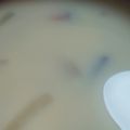 あゆたっくん's cooksnap of when they made かぼちゃとベーコンのミルクみそスープ.