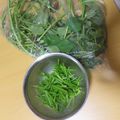 よちりん's cooksnap of when they made さつまいものつるの下処理方法.