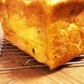 マンゴーがだいすき♪'s cooksnap of when they made 生地とあんのWかぼちゃで 米粉パン♪.