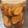 wgyo's cooksnap of when they made ６ヶ月ＯＫ！しょうがの保存方法.