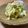 ♡こもれび♡'s cooksnap of when they made キャベツの浅漬け♡.