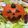 クック7EKE5V☆'s cooksnap of when they made ハロウィンおばけのケーキ寿司.