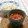 タモちゃん's cooksnap of when they made 冷やしうどんとトマトのめんつゆ.