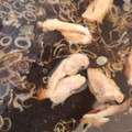 くむちん's cooksnap of when they made 鴨せいろ風？鶏のつけ蕎麦✿.