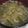ヨシヨッシー's cooksnap of when they made 長芋の味噌汁.