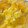 ヒロ♪エリ's cooksnap of when they made 自然な甘み。さつまいもとりんごのきんとん.