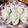 もこりこ's cooksnap of when they made 鶏ささみのとろーりチーズステーキ.