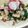 ☆★ケイト★☆'s cooksnap of when they made ラディッシュのツナサラダ.