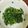 クックUW92JL☆'s cooksnap of when they made 醤油麹春菊.