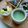 そろそろねんね's cooksnap of when they made メープル香る♪きな粉青汁豆乳☆.
