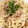 ☆ayami☆26's cooksnap of when they made 簡単☆ツナと大根おろしの和風パスタ.