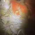 ちゃぎー's cooksnap of when they made ジローのベーコンと白菜のミルフィーユ鍋.