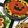 肉肉おにぎり's cooksnap of when they made 子供が喜ぶ♡ハロウィン☆オムライス♫.