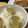 ☆ごはんできた☆'s cooksnap of when they made さつまいもご飯.