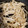 どみんごちゃん's cooksnap of when they made おつまみに❗️えのきのバター炒め.