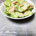 めみたん☆'s cooksnap of when they made 簡単☆胡瓜とツナの和えもの 山葵マヨ等.