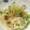 クックM6DK2O☆'s cooksnap of when they made 大根の皮と長ねぎの青いとこ.