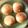 みるく茶's cooksnap of when they made 超リッチなパン生地.