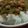 あゆたっくん's cooksnap of when they made 簡単！めかぶ納豆ごはん.